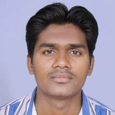 Prof. Girish Talmale